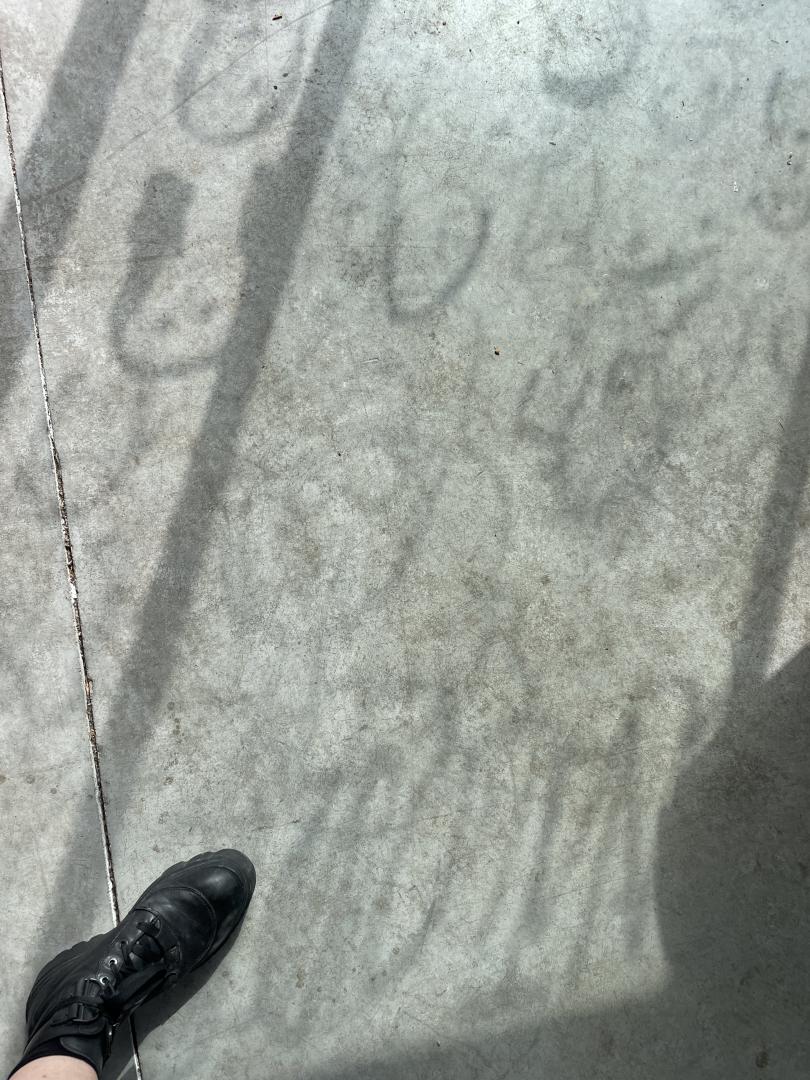 SE FONT DÉCALQUER LA TRONCHE